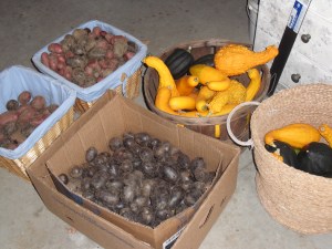 more harvest 2009