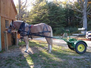 Peanut and his John Deere